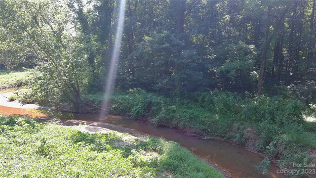 a view of a yard with plants and a tree