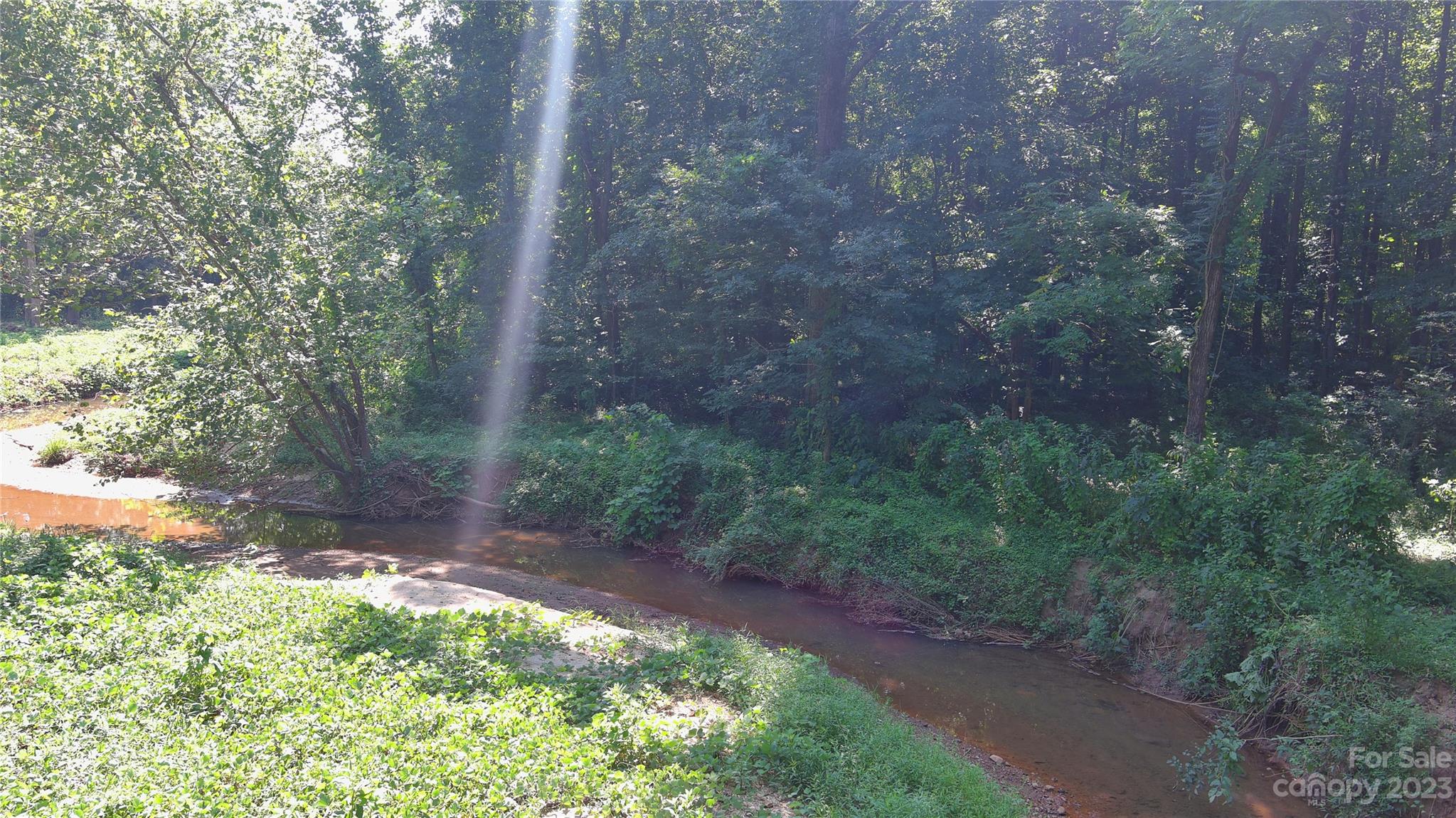 0 Fox Mountain Road, Unit 1 Columbus, NC 28722 - Photo 2 of 4 a view of a yard with plants and a tree