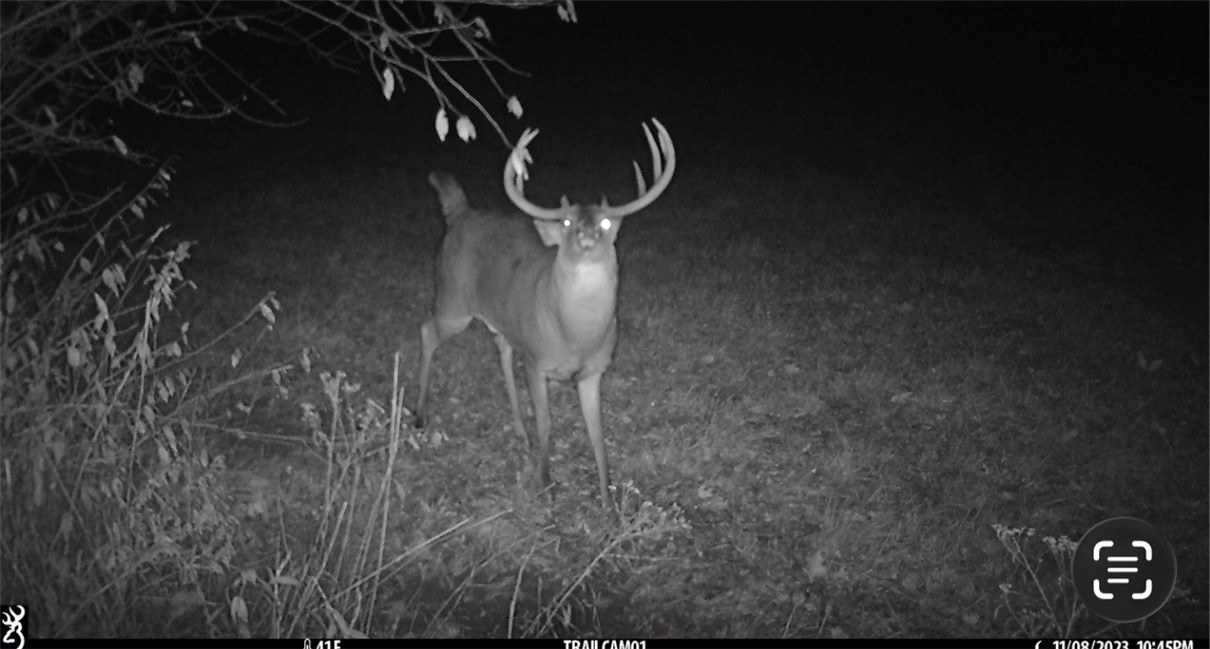 6815 Round Lake Road Bath, NY 14879 - Photo 40 of 41 from owners trail cam