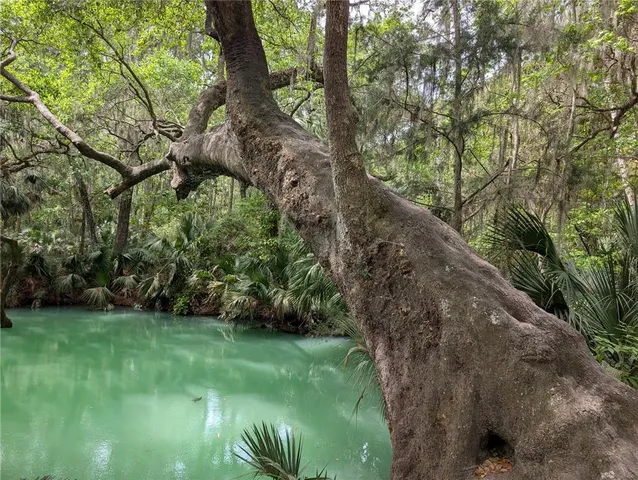 a view of outdoor space yard and lake view