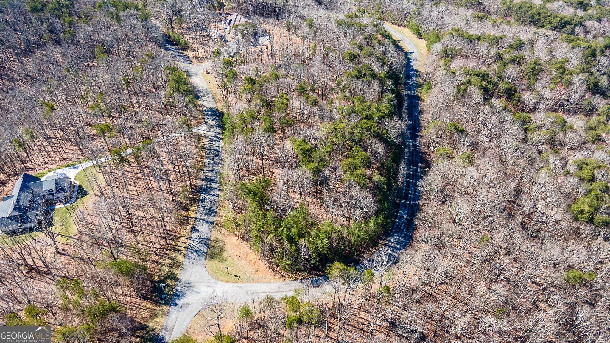 0 Shivas Crest Rising Fawn, GA 30738 - Photo 6 of 9 a view of a yard with plants
