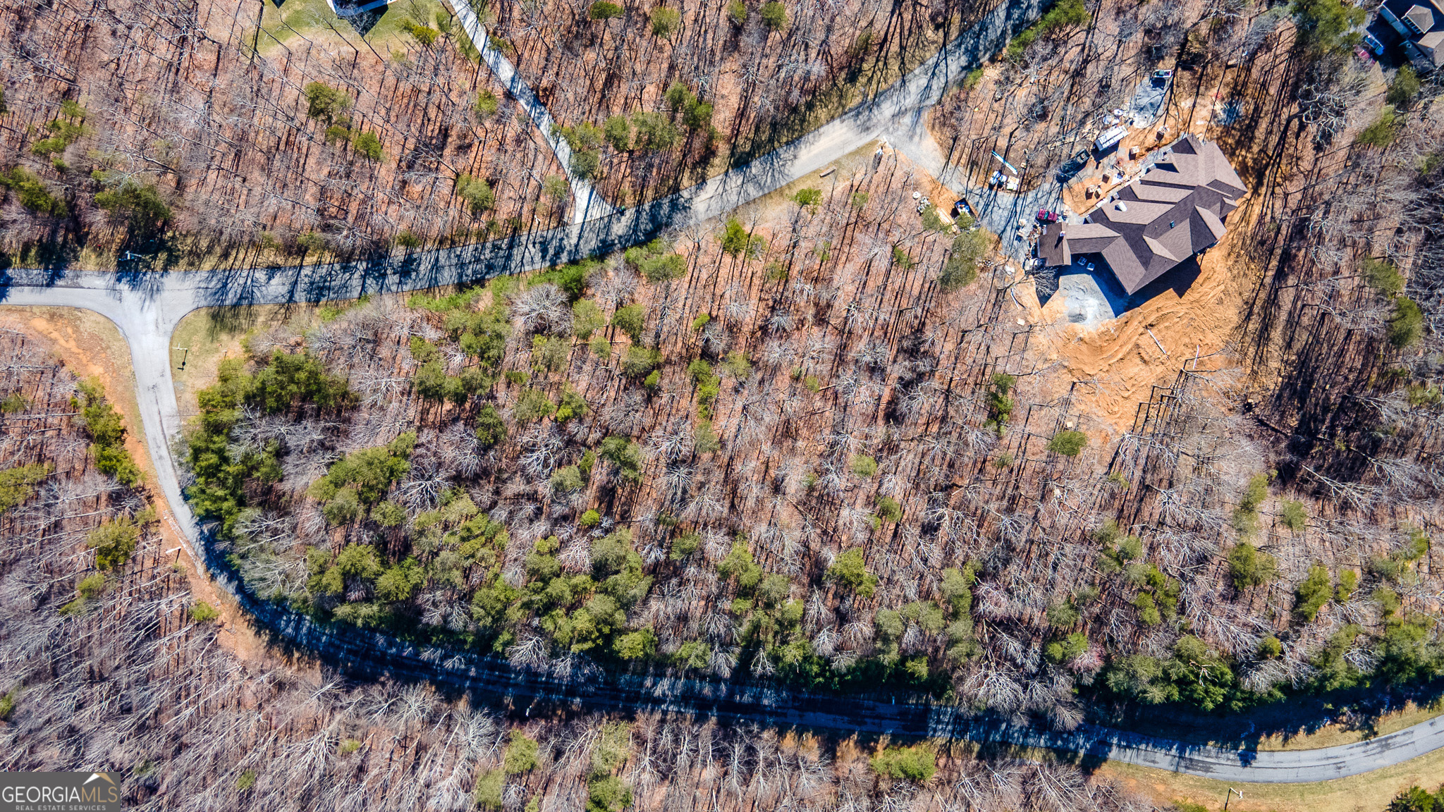 0 Shivas Crest Rising Fawn, GA 30738 - Photo 8 of 9 a view of a garden