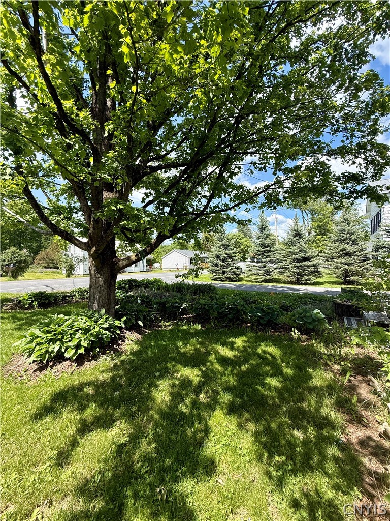 1230 Earlville Road Hamilton, NY 13332 - Photo 9 of 46