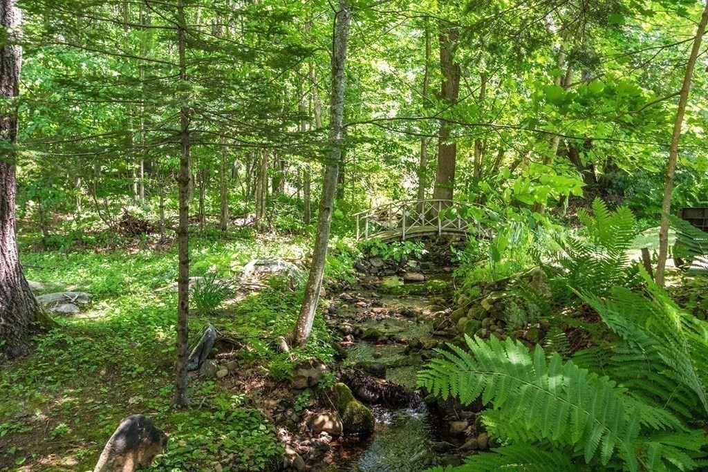 701 Silver Lake Street Athol, MA 01331 - Photo 33 of 34 a view of a lush green forest
