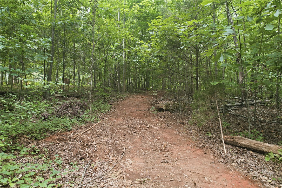 0 Southern Acres Road Anderson, SC 29625 - Photo 4 of 27 A tranquil, tree-lined path beckons adventurers to explore nature's embrace.