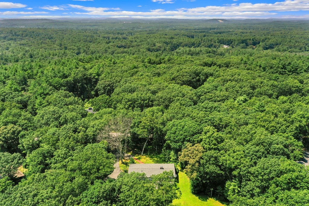 430 Heald Road Carlisle, MA 01741 - Photo 38 of 42 a view of a lush green forest with a sink and a garden