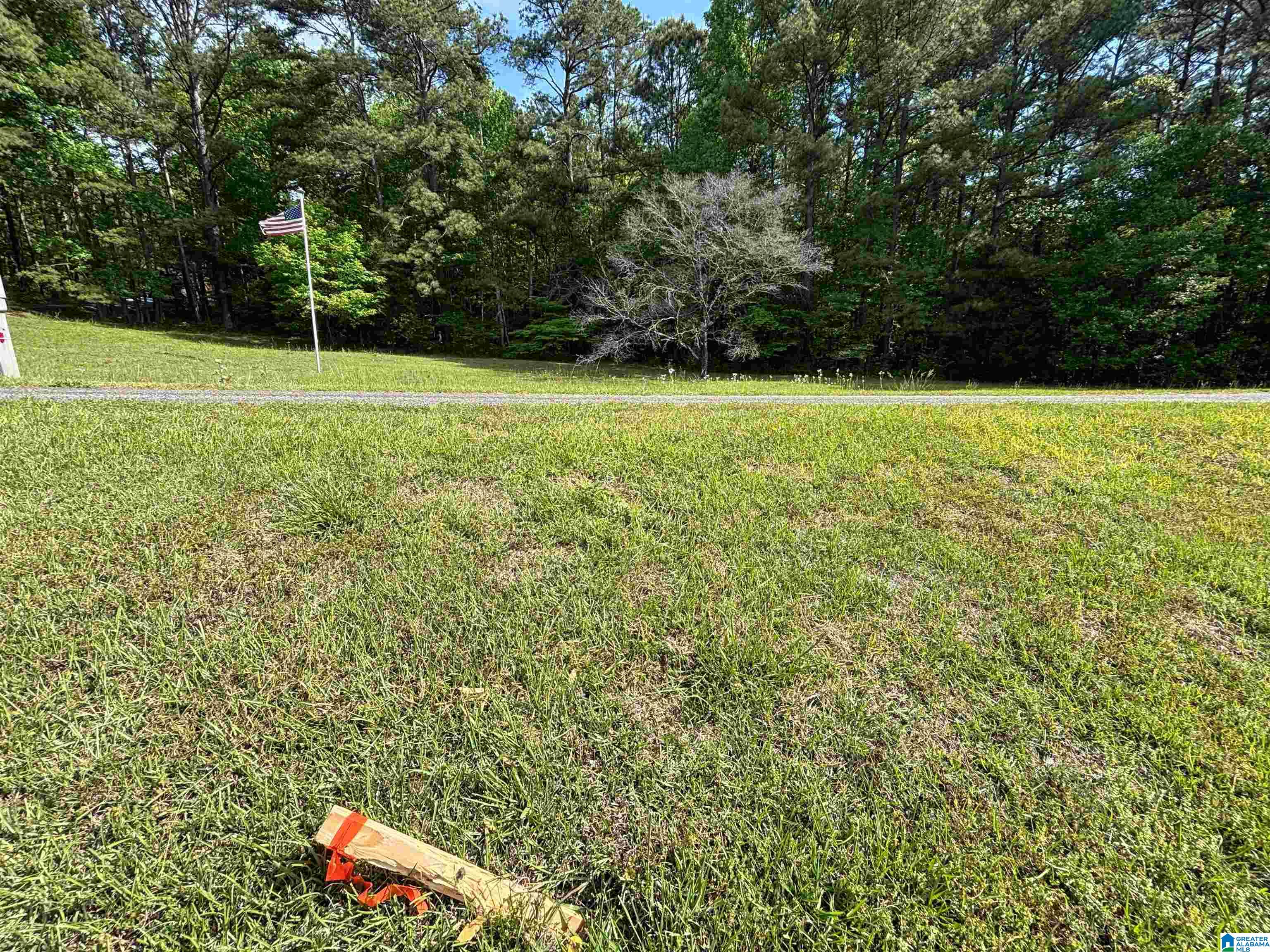0 Old Sawmill Road, Unit 1 72 / ACRES Moody, AL 35004 - Photo 5 of 6