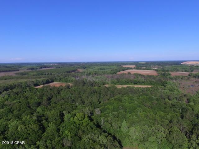 Xxx Galloway Road Graceville, FL 32440 - Photo 8 of 13