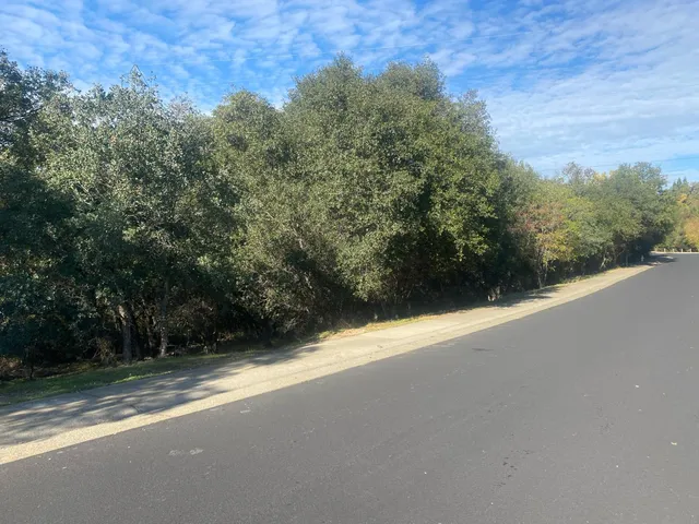 a view of a road with a trees