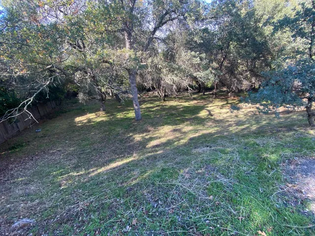 a view of outdoor space with trees all around