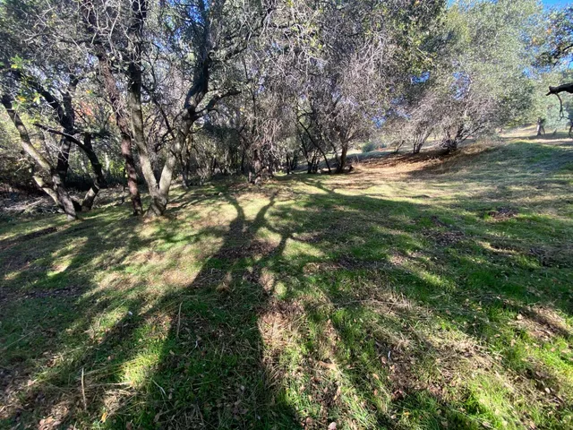 a view of outdoor space with trees all around