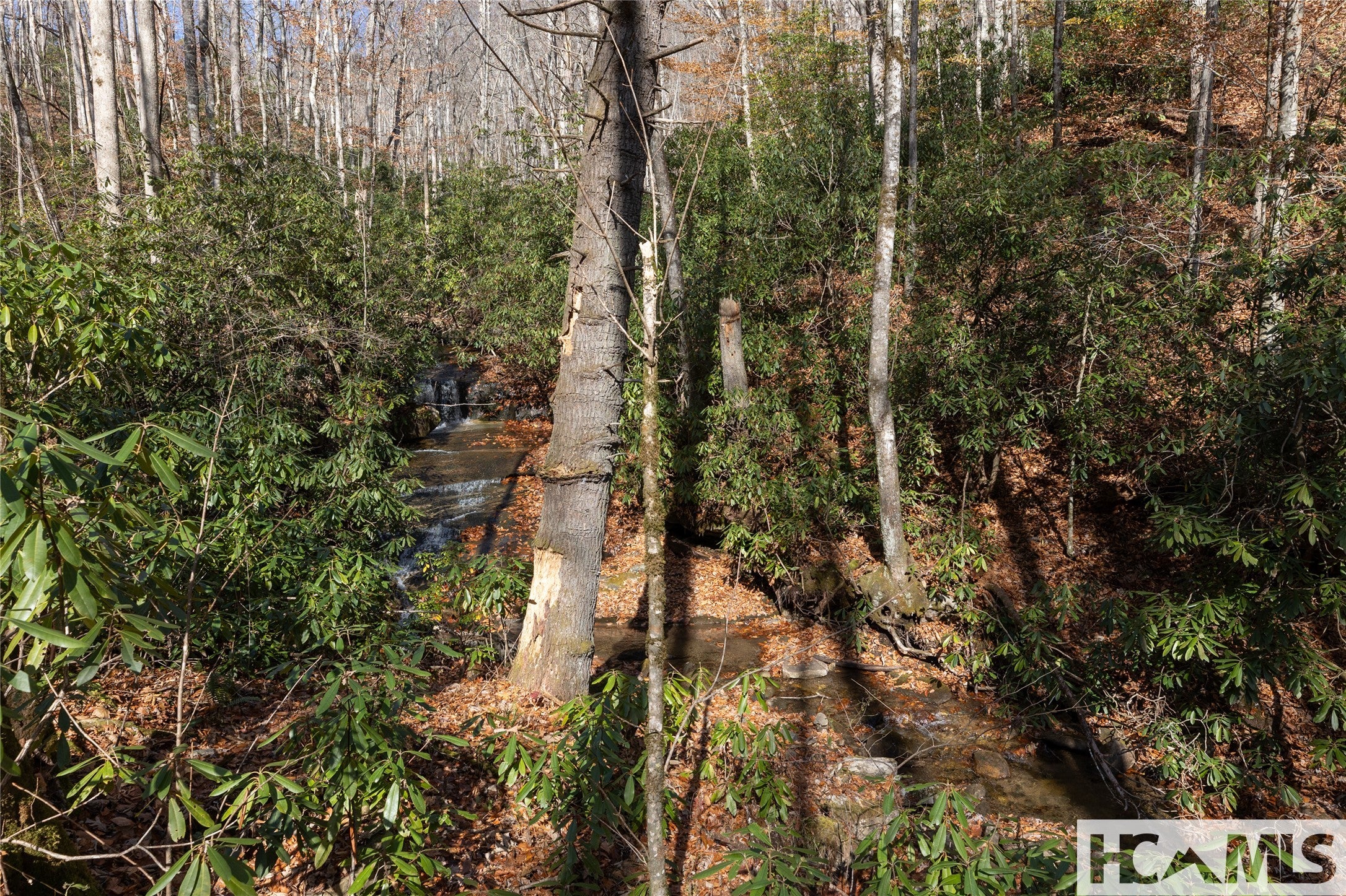 Lot 47 Cullowhee Forest Road Cullowhee, NC 28723 - Photo 8 of 27 Gallery Image 8