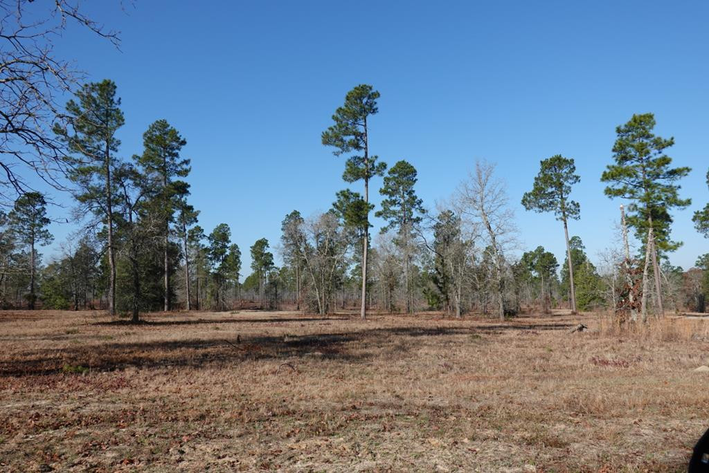 Lot 6 Shell Bluff Drive Aiken, SC 29803 - Photo 2 of 11