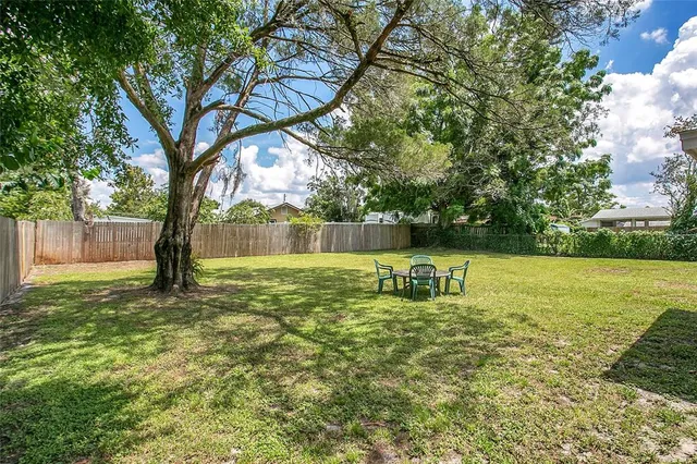 a view of a garden with a tree