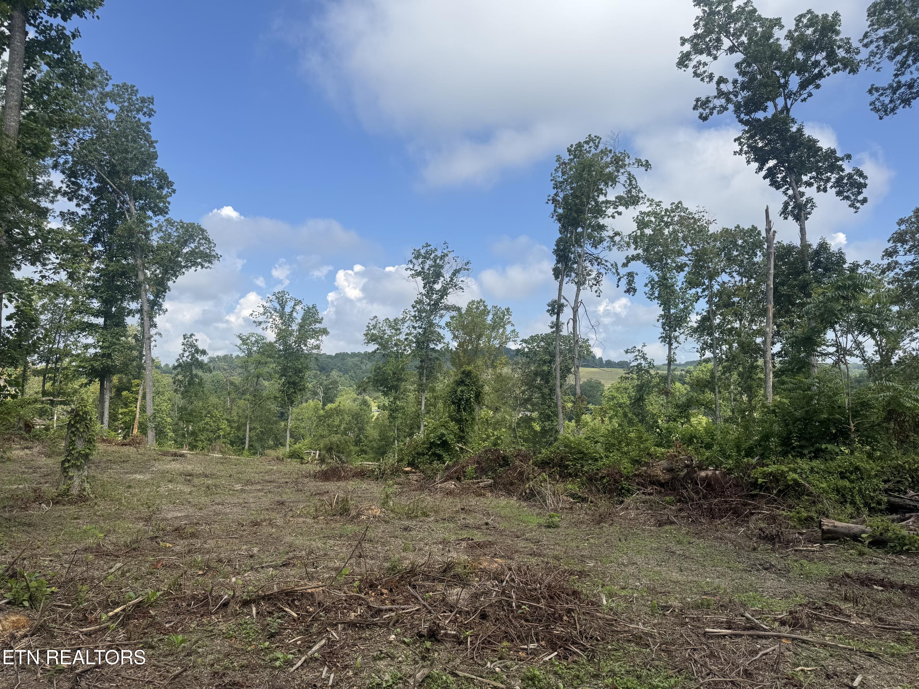 2 Mill Creek Road Andersonville, TN 37705 - Photo 12 of 22 IMG_0956