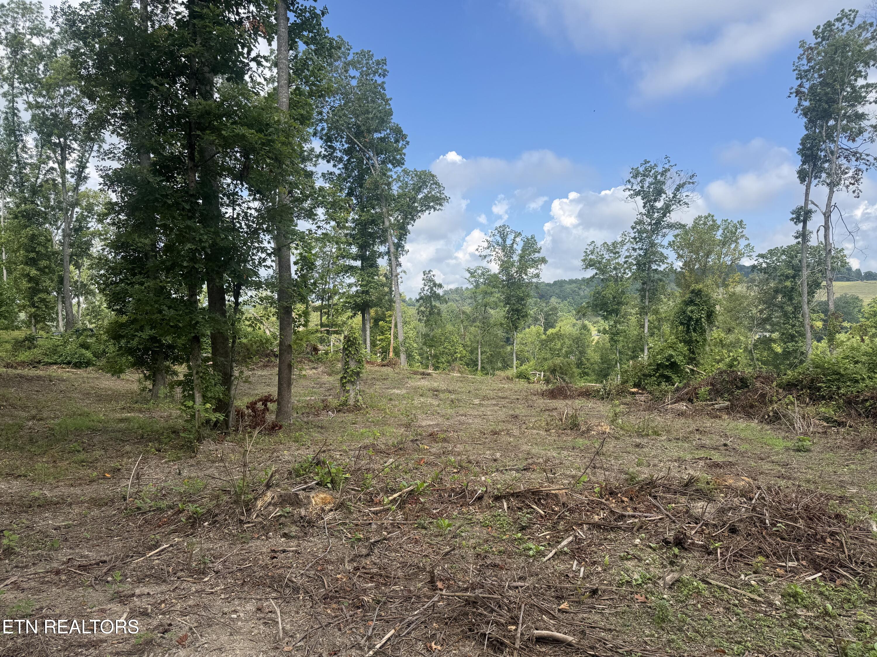 2 Mill Creek Road Andersonville, TN 37705 - Photo 13 of 22 IMG_0955