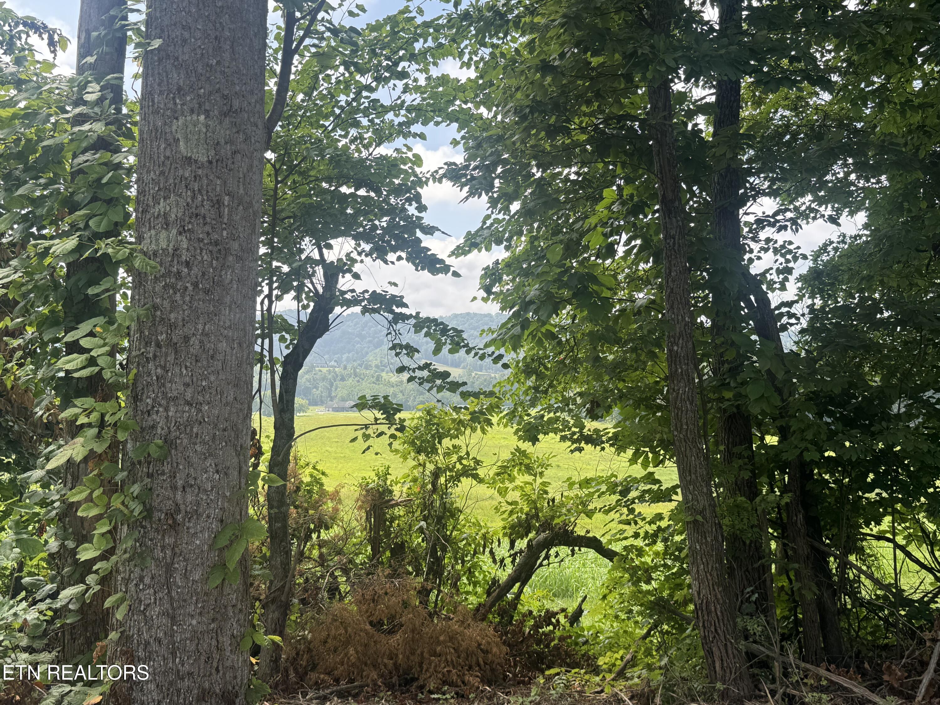 2 Mill Creek Road Andersonville, TN 37705 - Photo 7 of 22 IMG_0961