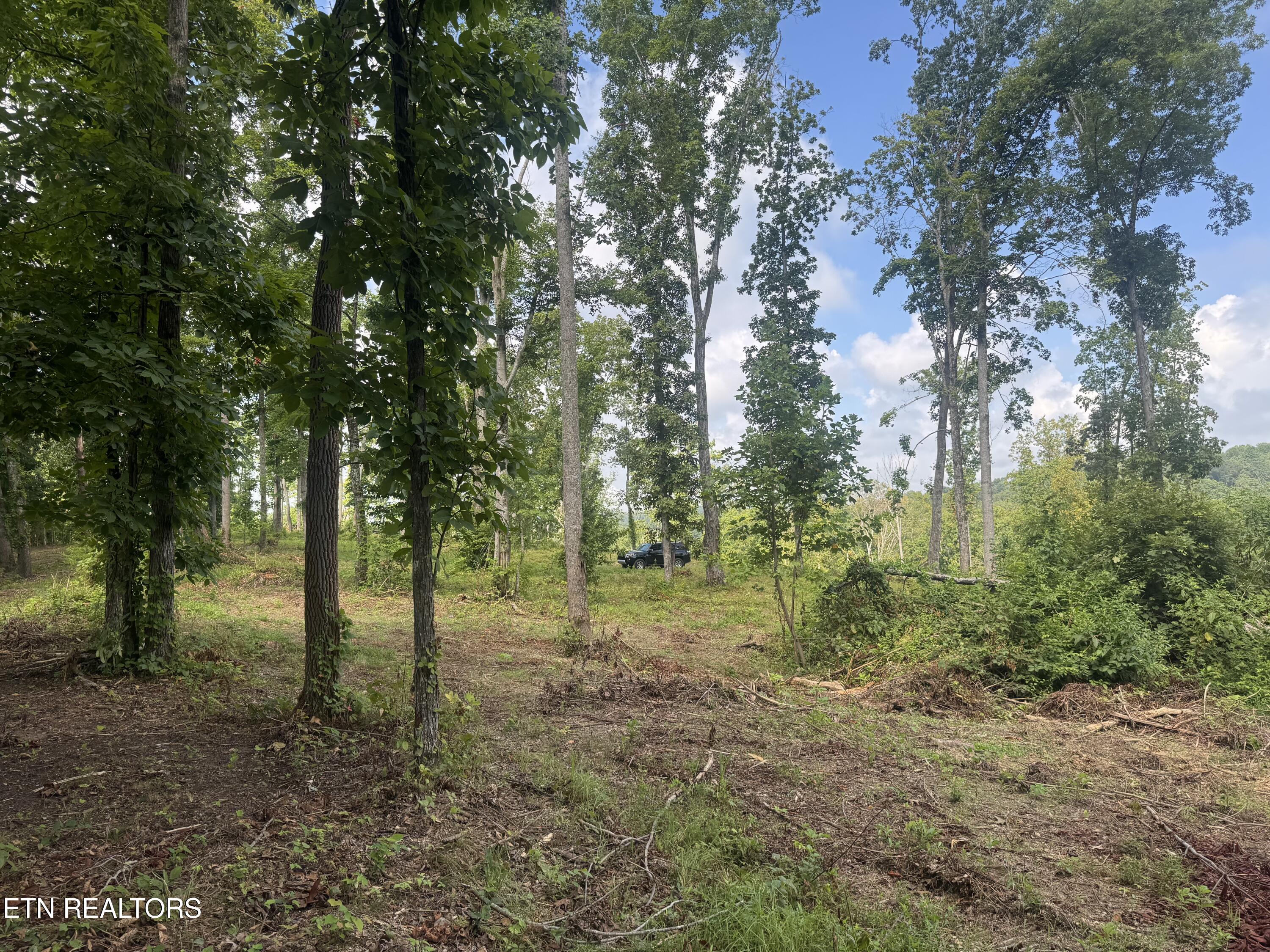 2 Mill Creek Road Andersonville, TN 37705 - Photo 8 of 22 IMG_0960