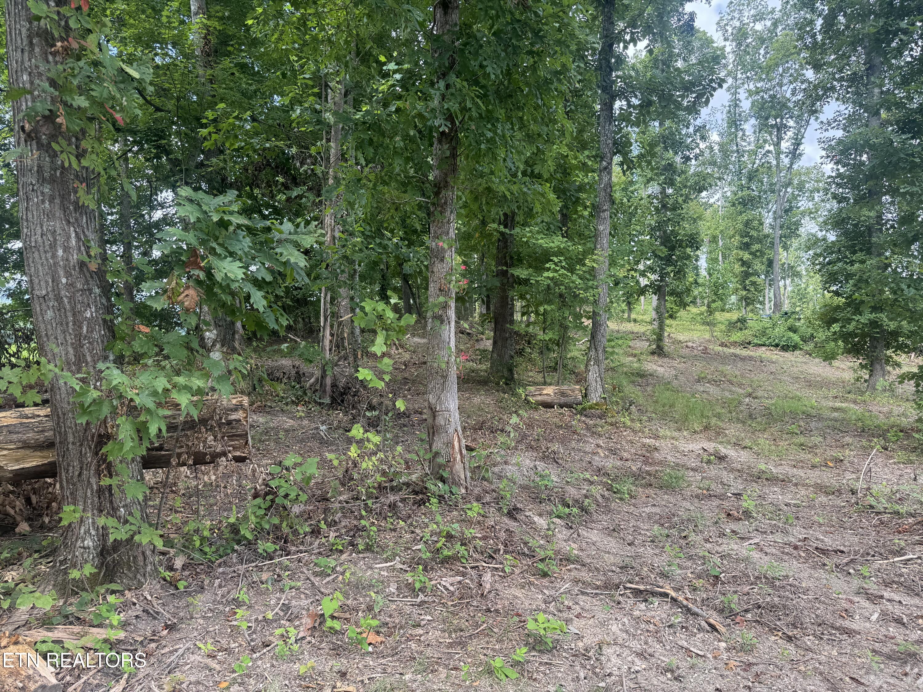 2 Mill Creek Road Andersonville, TN 37705 - Photo 10 of 22 IMG_0958