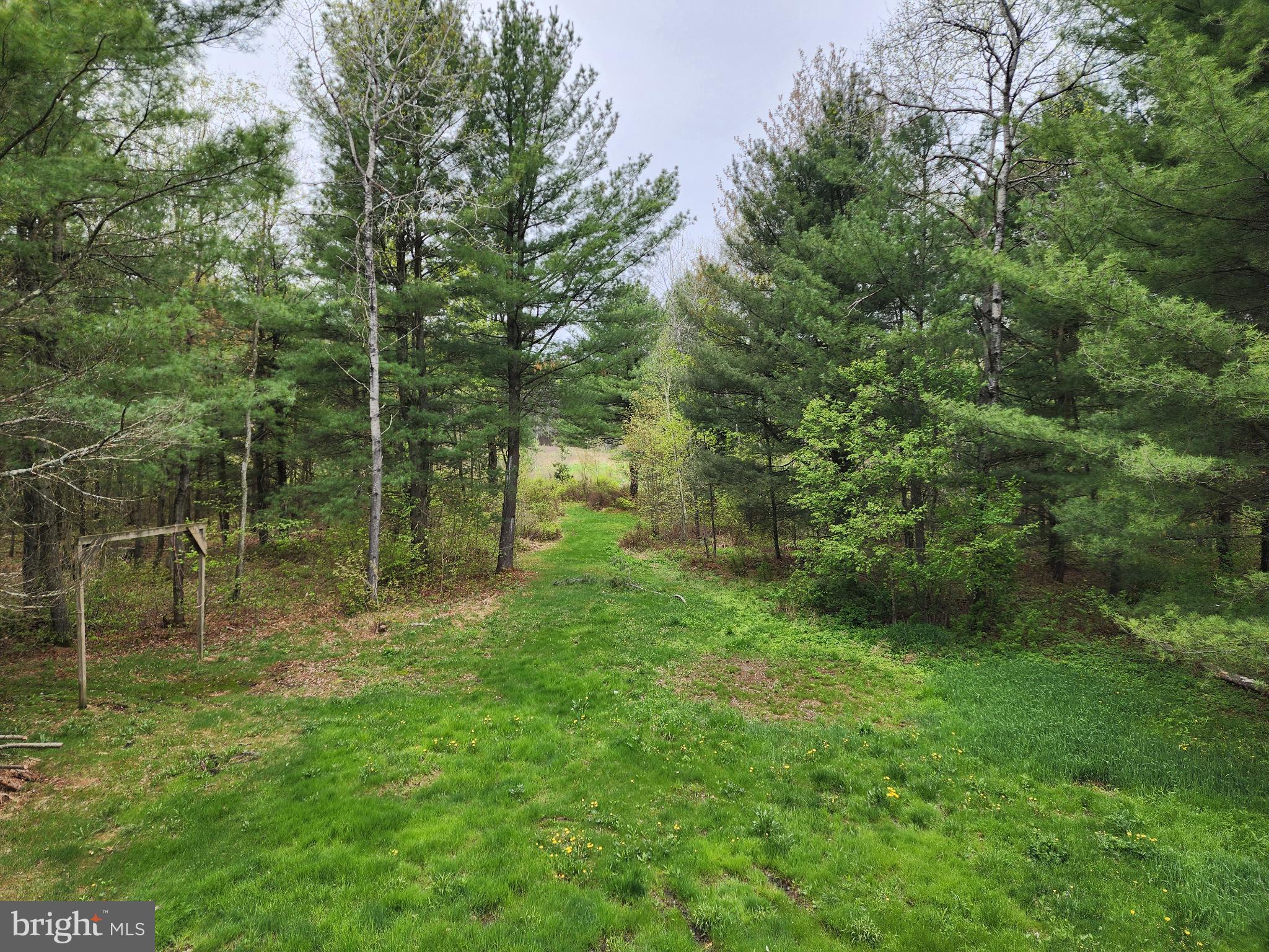 549 Blake Road Blossburg, PA 16912 - Photo 15 of 21 a view of outdoor space and green space