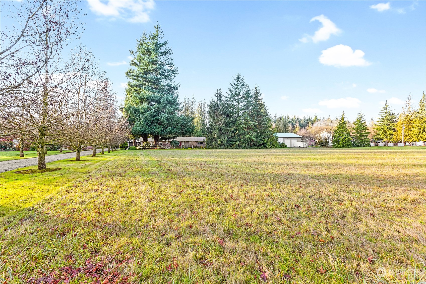 8669 Berthusen Road Lynden, WA 98264 - Photo 2 of 39 a view of a house with a big yard and large trees