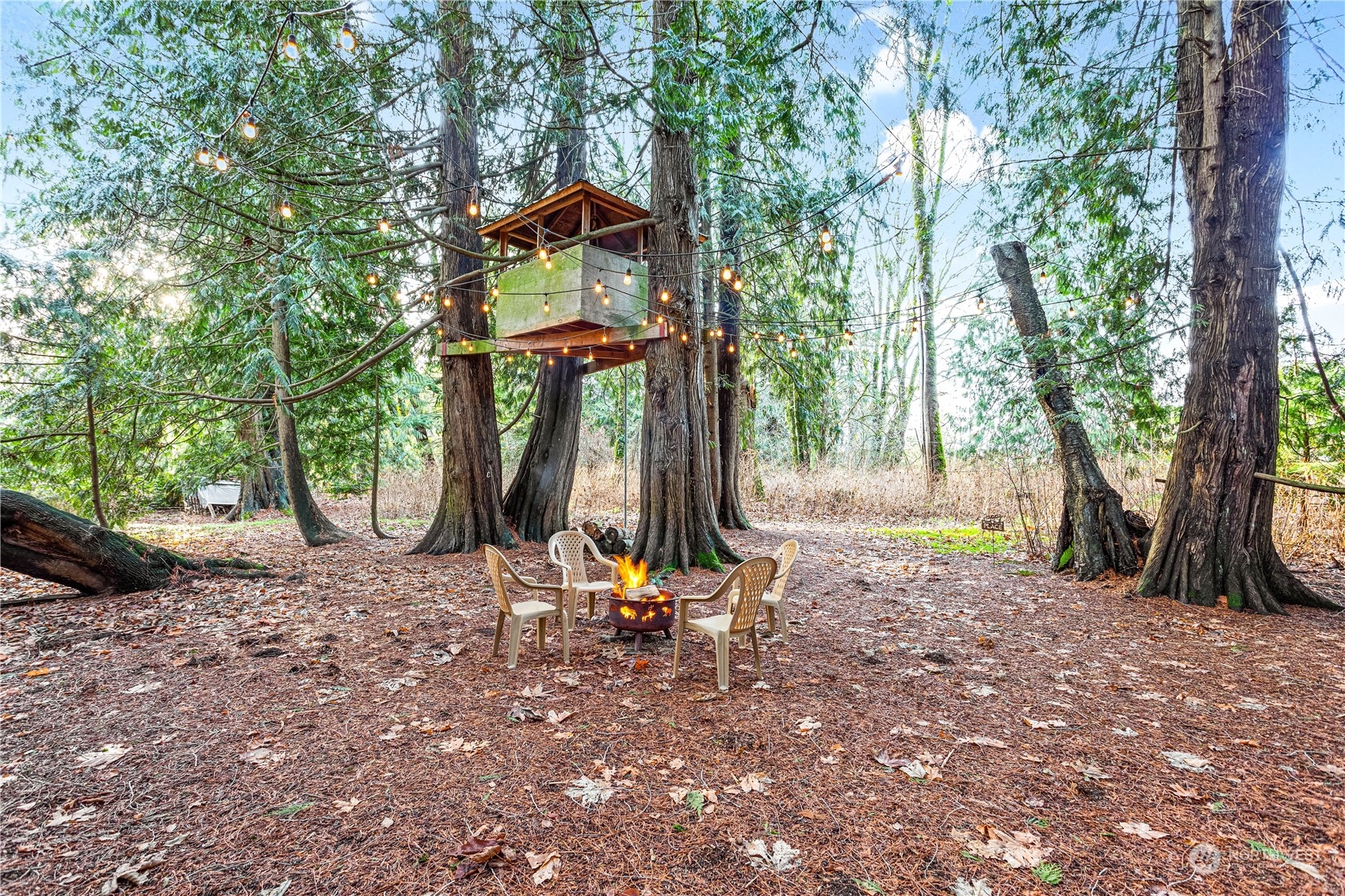 8669 Berthusen Road Lynden, WA 98264 - Photo 34 of 39 a backyard of a house with barbeque oven table and chairs