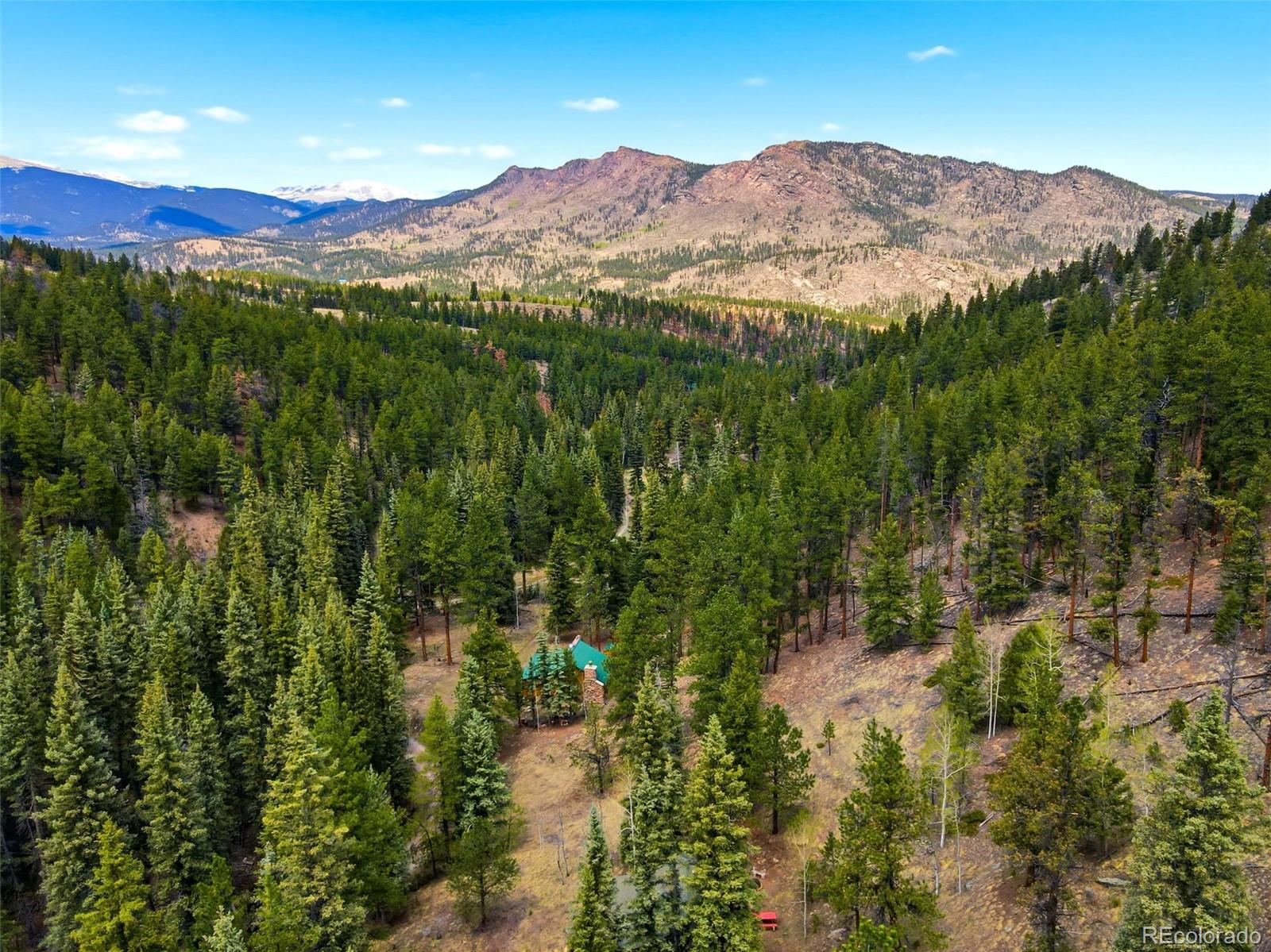 652 Payne Gulch Road Bailey, CO 80421 - Photo 3 of 33