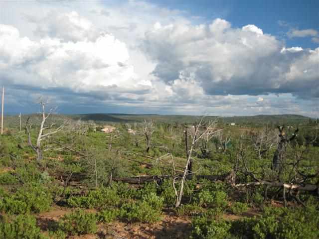 6250 Apache Trail Show Low, AZ 85901 - Photo 1 of 9