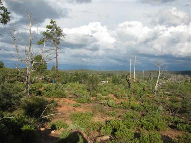 6250 Apache Trail Show Low, AZ 85901 - Photo 2 of 9