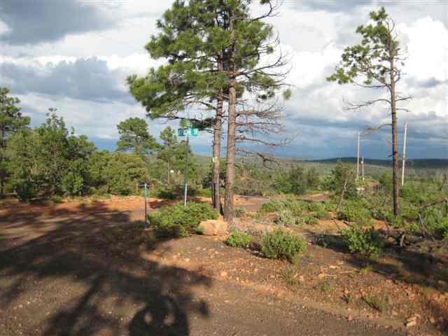 6250 Apache Trail Show Low, AZ 85901 - Photo 7 of 9