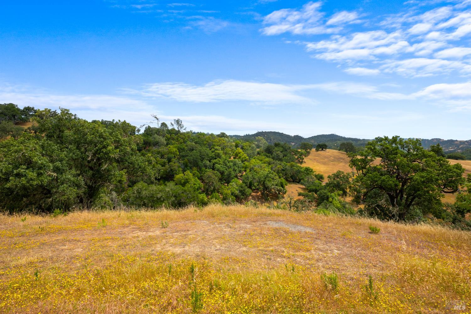 23655 Vineyard Road Geyserville, CA 95441 - Photo 19 of 38