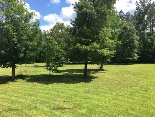 610 Pisgah Road Brandon, MS 39047 - Photo 3 of 39 Photo 3