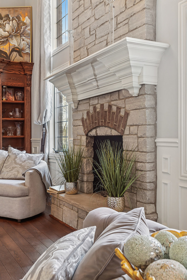 14151 131st Street Lemont, IL 60439 - Photo 33 of 62 a living room with furniture a fireplace and a potted plant