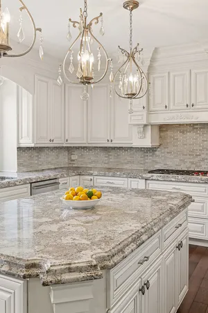 $1,695,000 | 14151 131st Street, Lemont, IL 60439