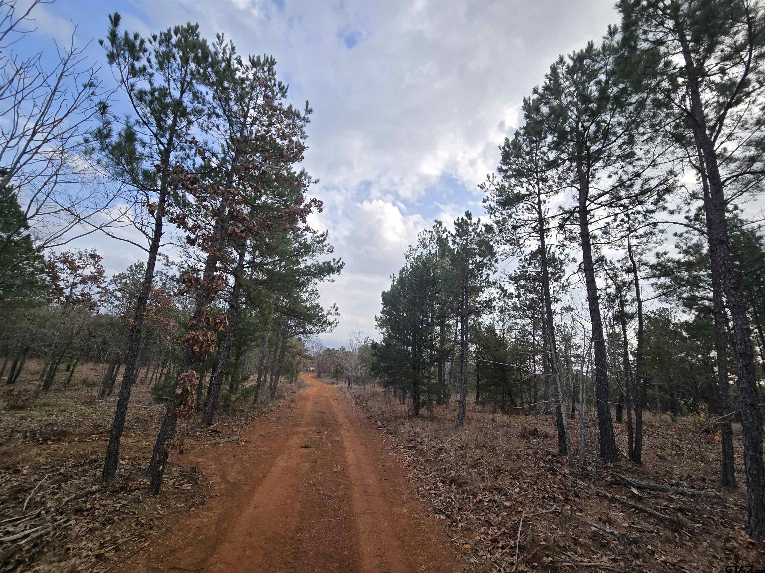 C R (15-acres) C R (15-acres) 323rd Lindale, TX 75771 - Photo 2 of 6