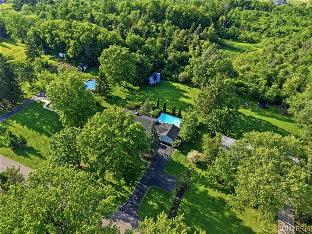 1391 Billington Road Elma, NY 14052 - Photo 46 of 46