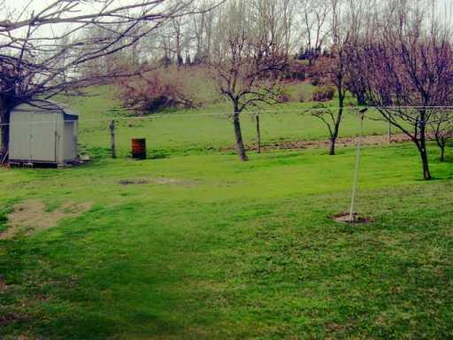 536 Fleming Road Sarver, PA 16055 - Photo 4 of 8 Yard/Garden.