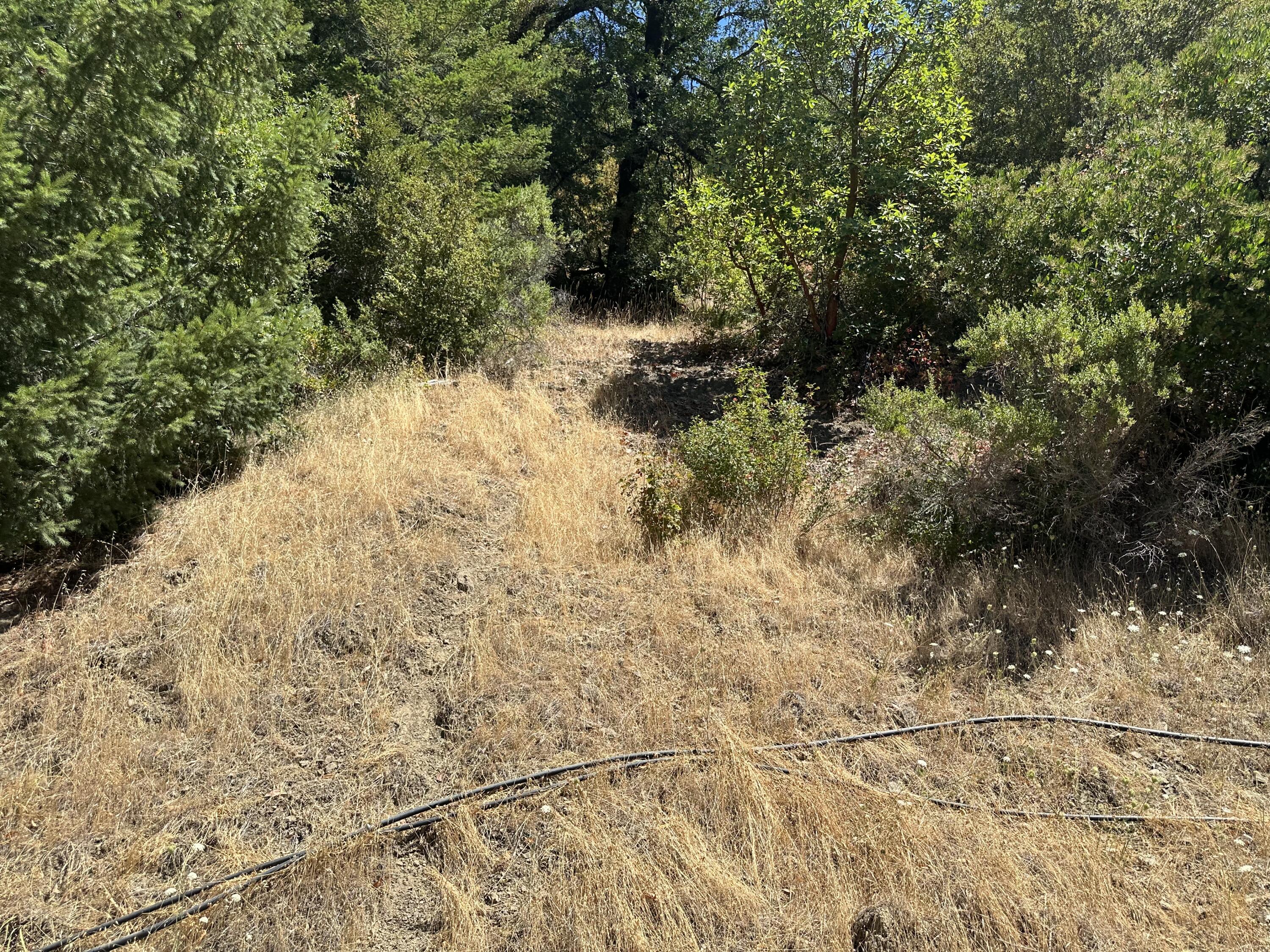 No Address No Address Road Miranda, CA 95553 - Photo 20 of 45