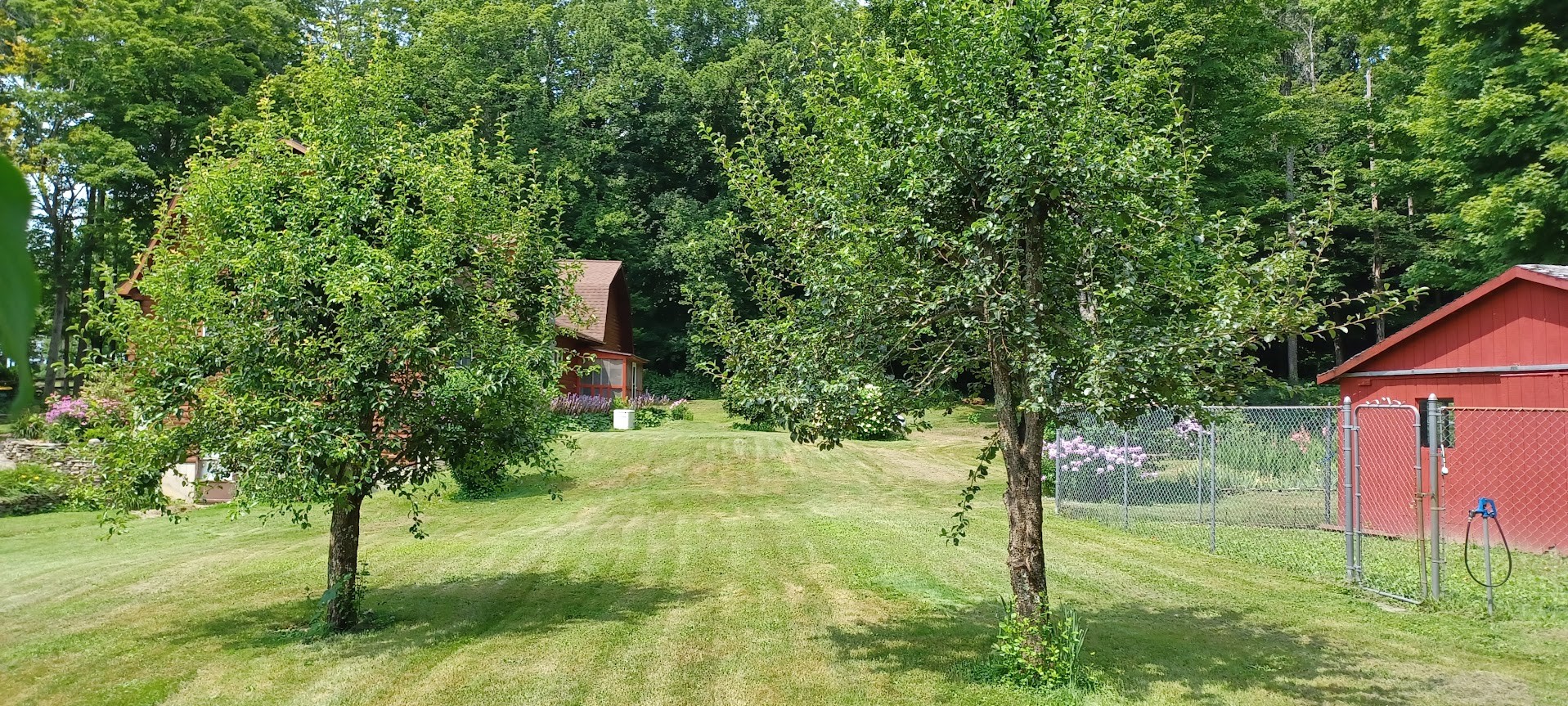 163 Ott Road Greene, NY 13778 - Photo 32 of 50