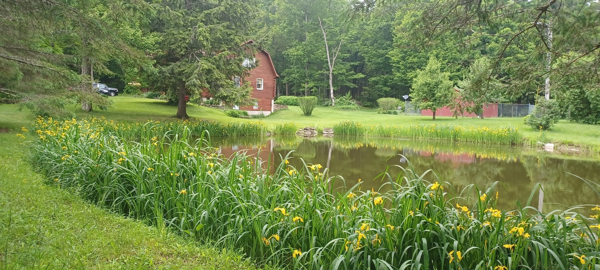 163 Ott Road Greene, NY 13778 - Photo 35 of 50