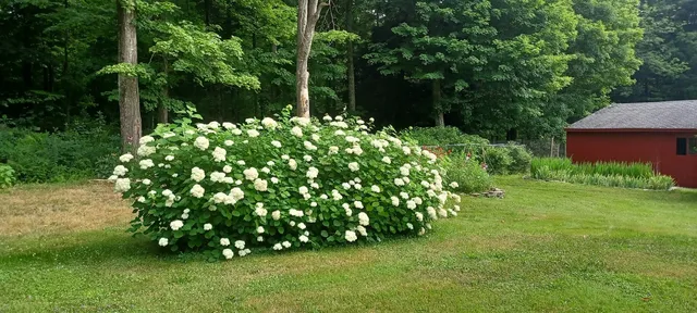 $459,900 | 163 Ott Road, Greene, NY 13778