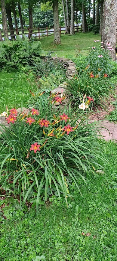 163 Ott Road Greene, NY 13778 - Photo 41 of 46