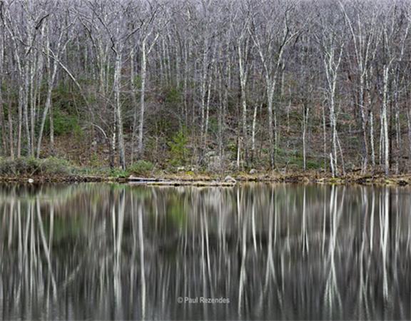 56 Waters Road Sutton, MA 01590 - Photo 7 of 10 Gallery Image 7