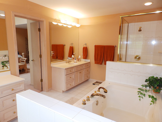 35W752 Parsons Road Dundee, IL 60102 - Photo 17 of 25 a bathroom with a tub sink and mirror