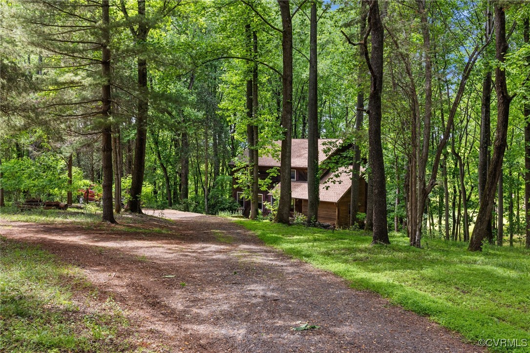 13320 Berkeley Road Orange, VA 22960 - Photo 44 of 46 a big yard with lots of green space and trees
