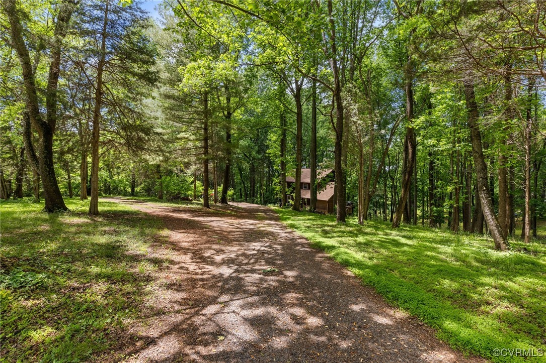13320 Berkeley Road Orange, VA 22960 - Photo 45 of 46 a big yard with lots of green space and trees