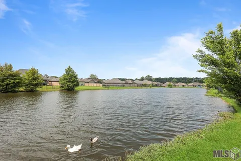 $2,200 | 16950 River Birch Avenue, Central, LA 70739