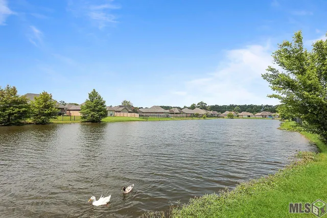 $2,200 | 16950 River Birch Avenue, Central, LA 70739