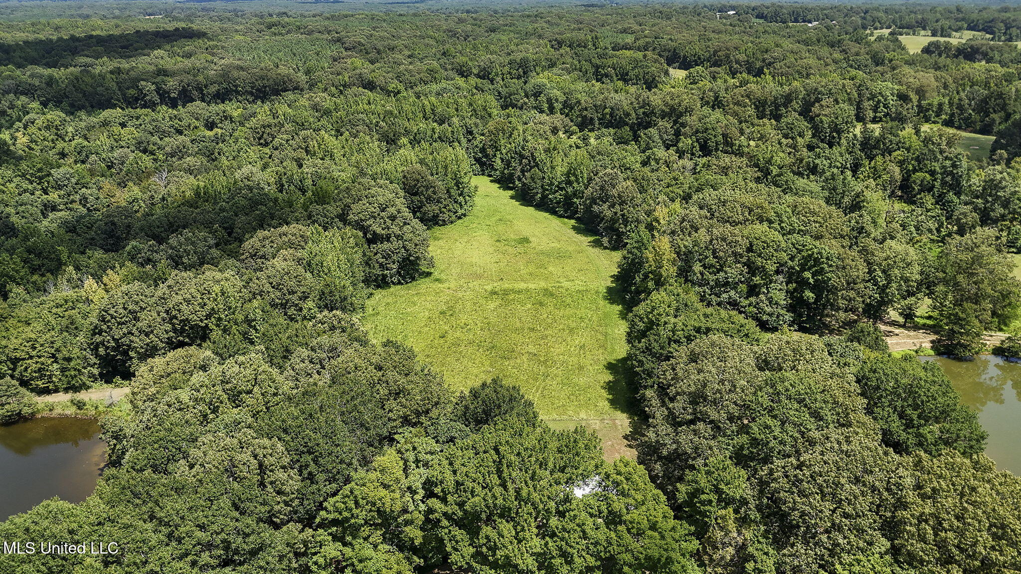 1761 Parks Place Road Como, MS 38619 - Photo 13 of 29 13-web-or-mls-1761 Parks Place Rd-13