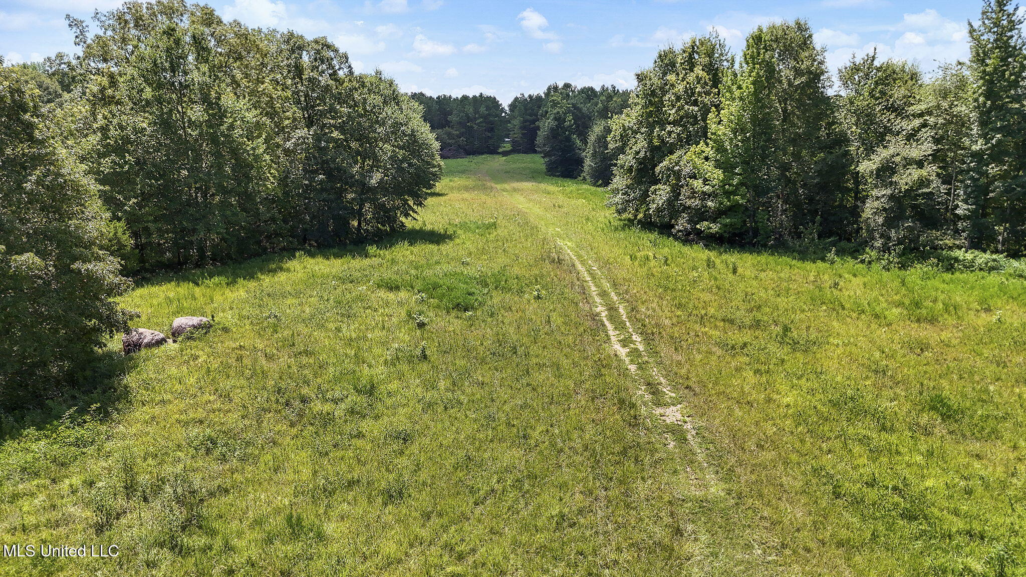 1761 Parks Place Road Como, MS 38619 - Photo 9 of 29 9-web-or-mls-1761 Parks Place Rd-09